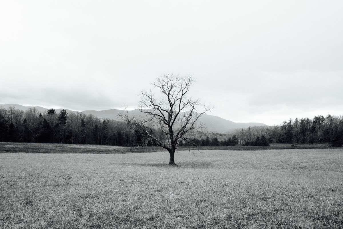 Great Smoky Mountains National Park, USA